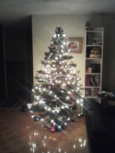 Christmas tree 2012