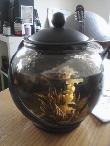 Morning tea