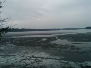 fog on big salmon lake