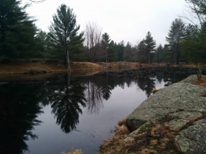 glassy lake