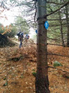 on the trail