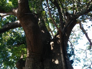 IMG_20141128_105119
