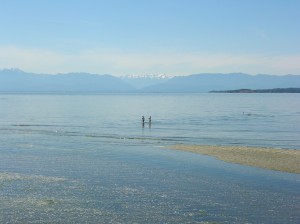 DSCN4901