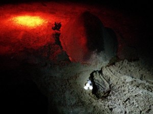 IMG_20141129_185741