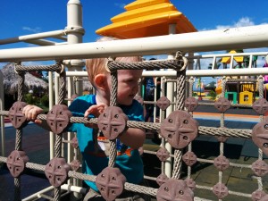 IMG_20141201_130330